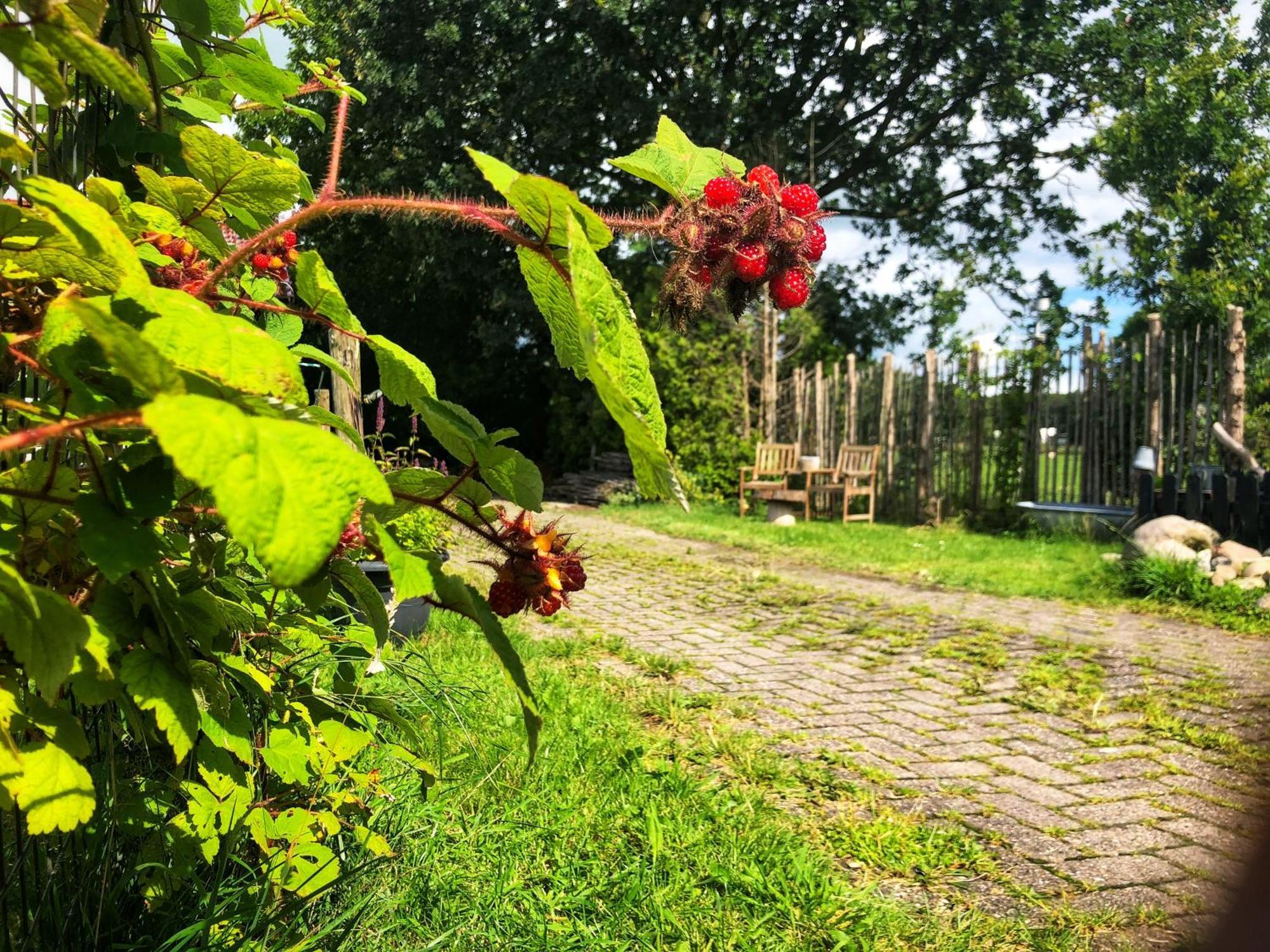 B&B Zandhuizen Eksteriør bilde
