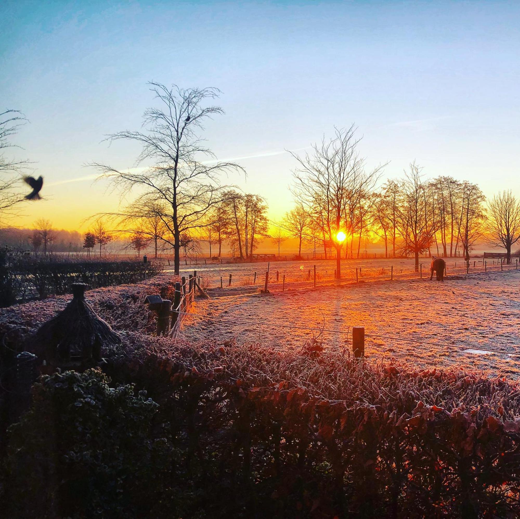 B&B Zandhuizen Eksteriør bilde